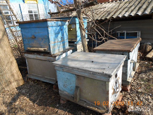 Улики для пчёл купить на Зозу.ру - фотография № 3