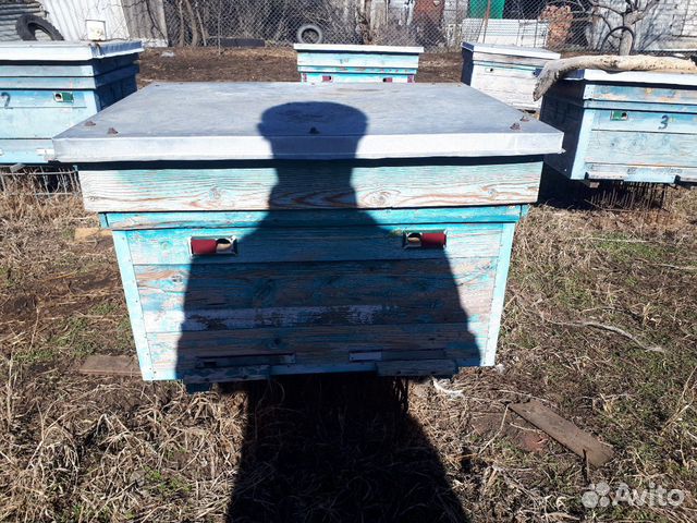Пчелиный улей купить на Зозу.ру - фотография № 4
