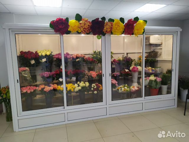 Холодильная камера для цветов Холодильная камера для цветов