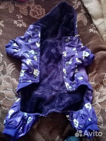 Продам костюм флисовый на малинькую породу собаки купить на Зозу.ру - фотография № 1