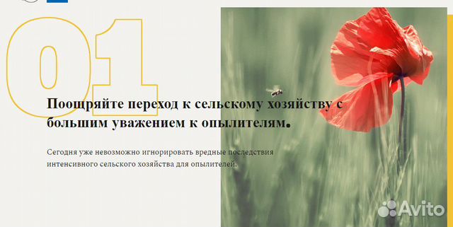 Купив себе улей пчёл, вы продлеваете свою жизнь купить на Зозу.ру - фотография № 5