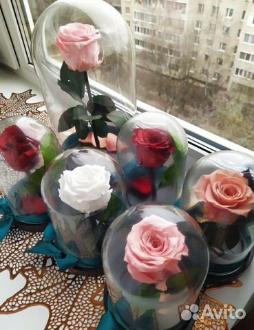 Роза в колбе
