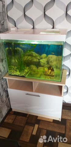 Продам аквариум 300л купить на Зозу.ру - фотография № 4