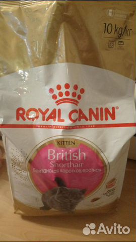 Сухой корм Royal Canin British Shorthair 10 кг