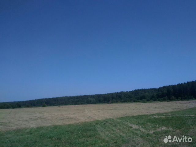 Витаминно травяная мука