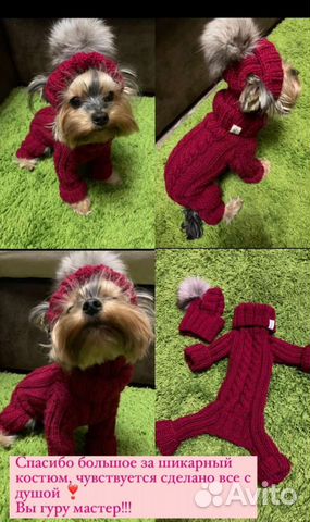 Вязаная одежда для собак и кошек