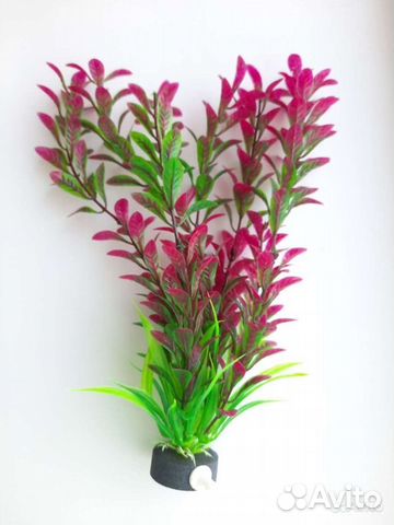 Искусственное растение для аквариума Новое