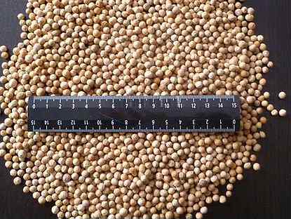 Белое Платье Белая Фата Аккорды фото 22