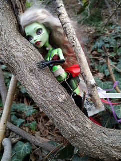 Monster high ooak кукла Венера