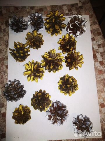 Шишки сосновые для декора любых цветов