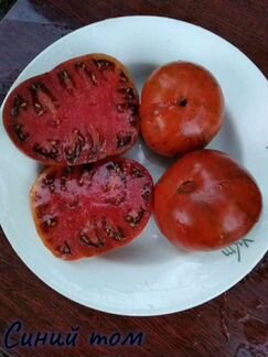 Коллекционные семена сорта томатов помидоров