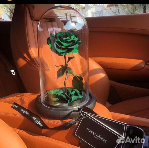 Роза в колбе