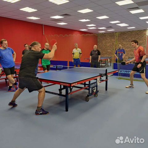 Обучение настольному теннису