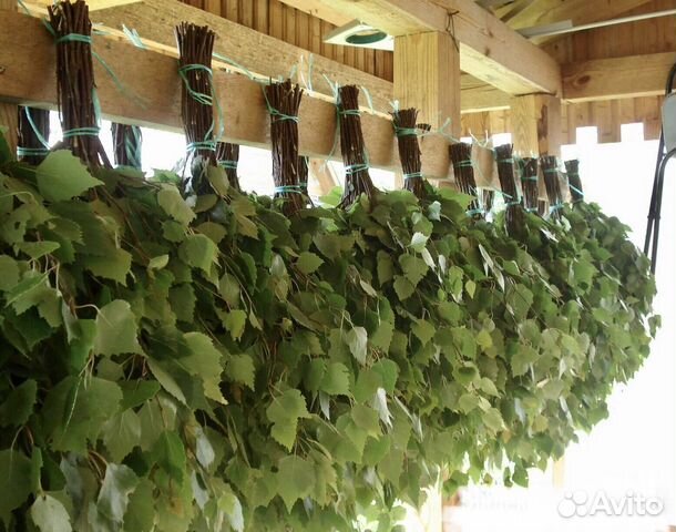 Веники для бани