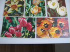 Чистые открытки цветов - Тюльпаны СССР объявление продам