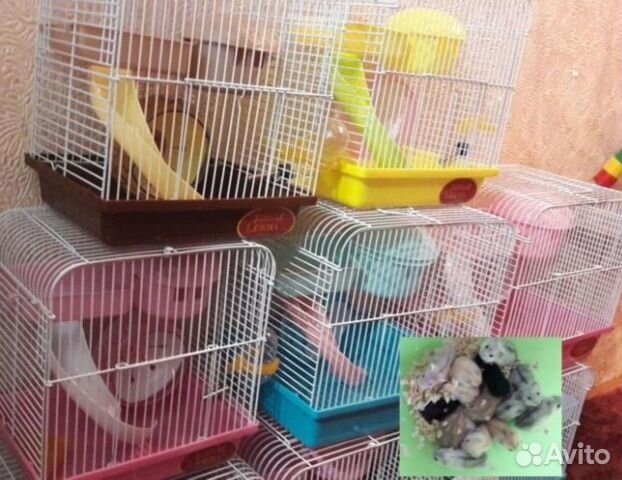 Продам клетки/комплектующие для клеток