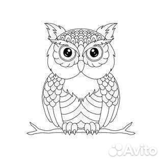 Подготовка к школе, нейропсихолог, раннее развитие