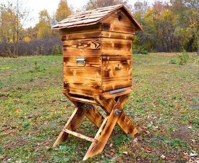 Купить пчёл Карпатка, пчелопакет, улей 