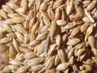 Пшеница ячмень кукуруза объявление продам