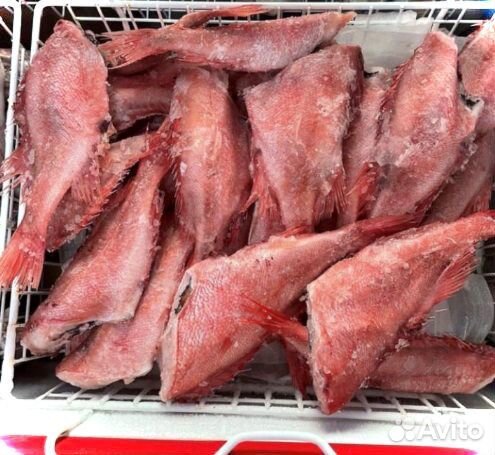 Морской окунь опт