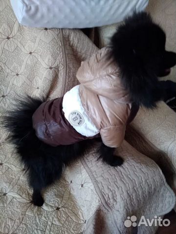 Комбинезон для собаки