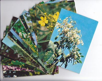 Набор открыток СССР