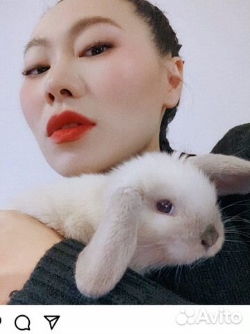 Мини Кролики