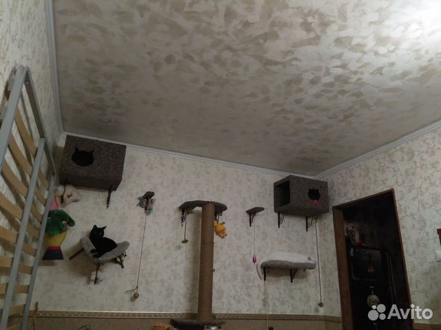 Комплекс для кошек, собак