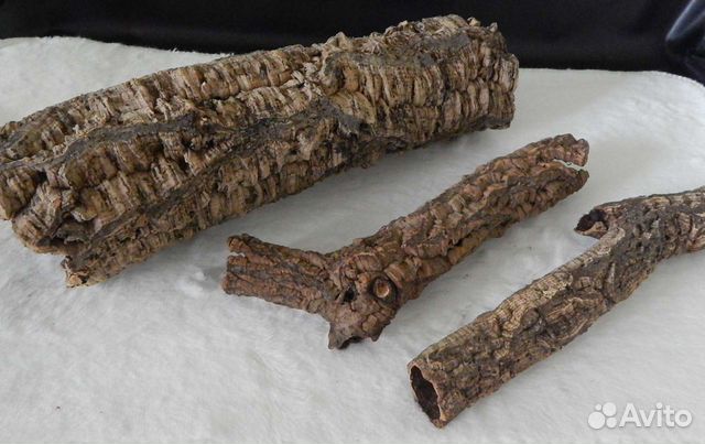 Кора пробкового дуба