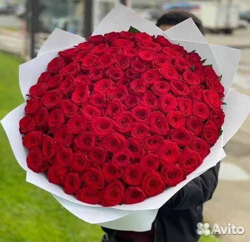 Цветы с Доставкой 101 роза 51 Доставка Цветов Розы