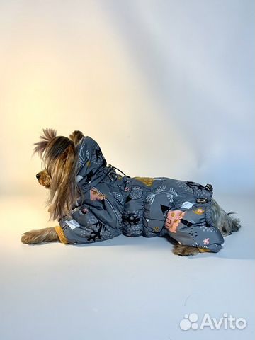 Одежда для собак /Комбинезон/Дождевик