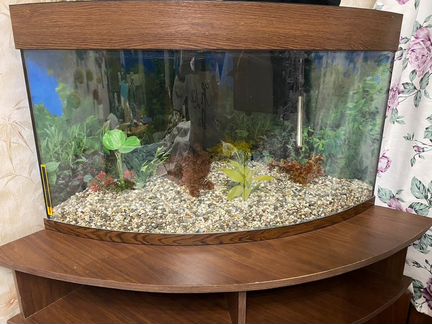 Аквариум угловой с тумбой