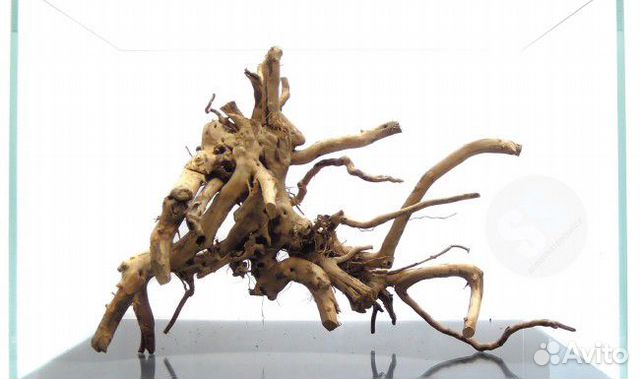 Коряги. Корни азалии. Виноградная лоза