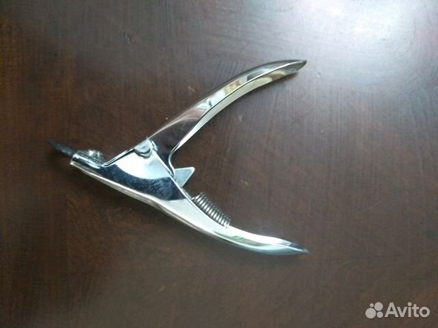 Принадлежности для животных