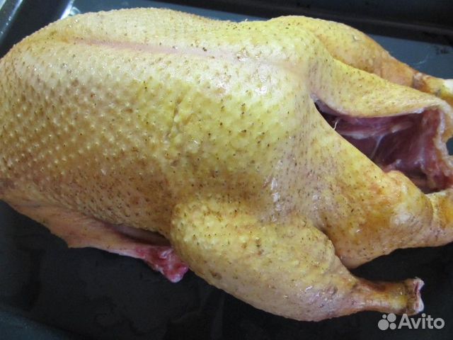 Что внутри находится зеленое в индоутке Мясо индоутки купить в Пятигорске Товары для дома и дачи Авито