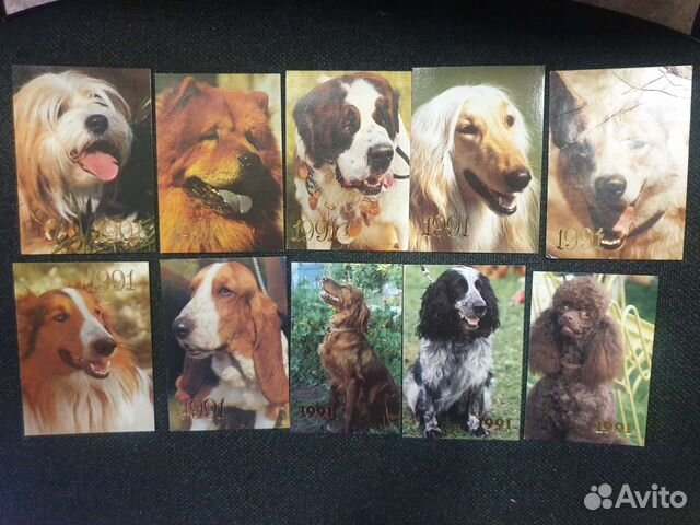 Коллекция календариков Собаки