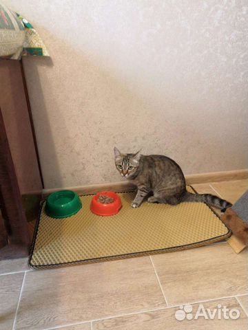 Коврик для кошки