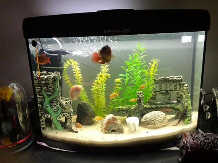Аквариум 65 литров полный комплект