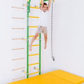 Комплекс «Шведская стенка romana S6 Karusel»