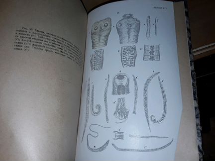Руководство к клинической микроскопии. 1917 г