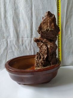 Бонсайница и поддоны