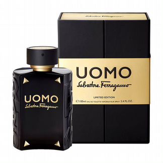 Salvatore Ferragamo uomo Limited Edition Spray 100