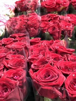 101 роза букет Роз розы 51 31