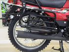 Motoland Forester 200 Lite