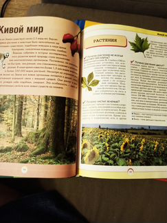 Книга. Энциклопедия. Хочешь знать почему