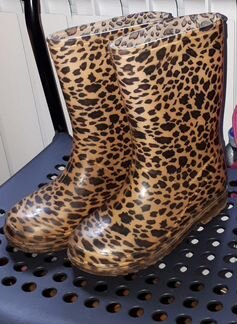 Резиновые сапоги