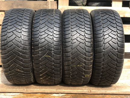 205 55 16 Dunlop Winter Sport м3 1шт