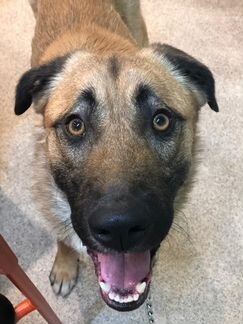 Джек ищет дом