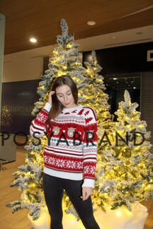 Новогодний свитер; свитер с оленями; свитер