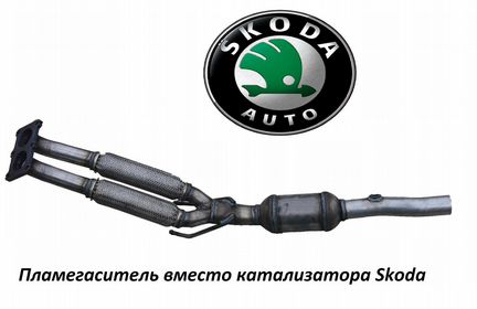 Удалить катализатор Skoda